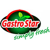 Gastro Star 2 Logo