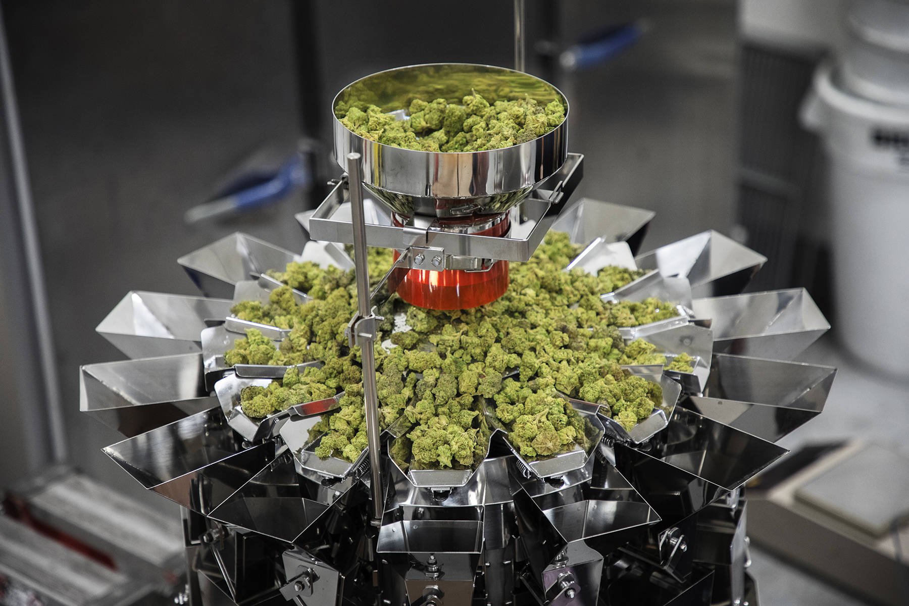 Weigher for cannabis-based applications