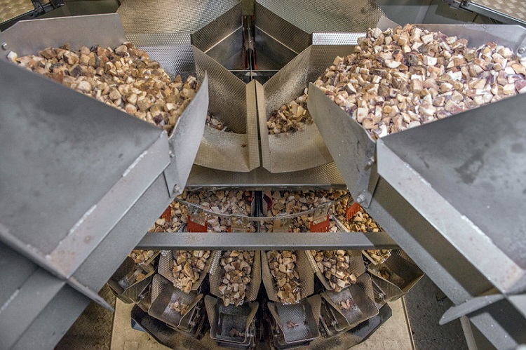 Les peseuses associatives Ishida particulièrement appréciées par les professionels du champignon