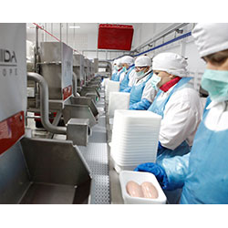 Wipasz takes poultry packing to a new level