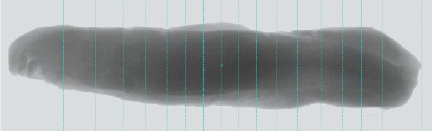 X-ray_High-precision scanning