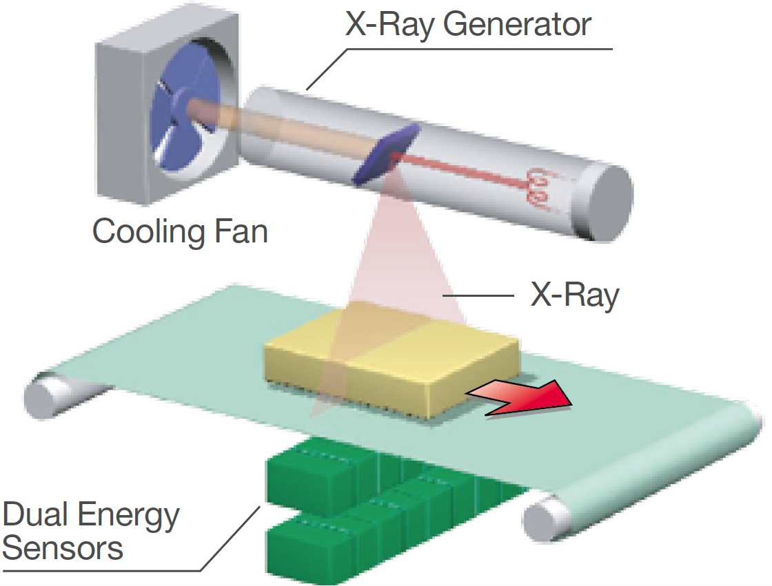 IX-G2 dual energy sensors