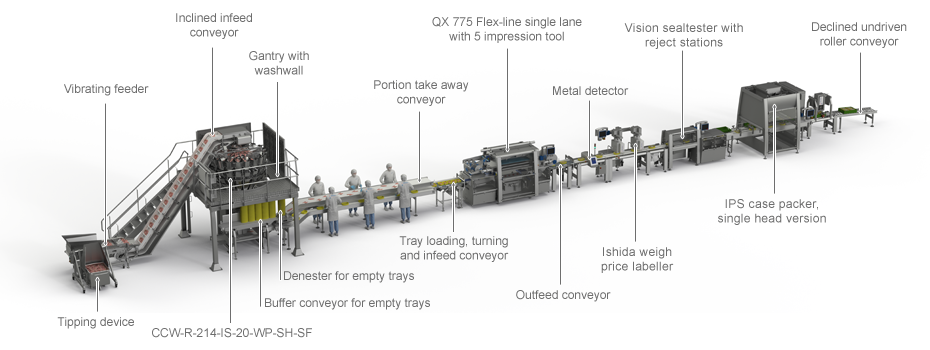 Fish and Seafood Solutions - Complete Line