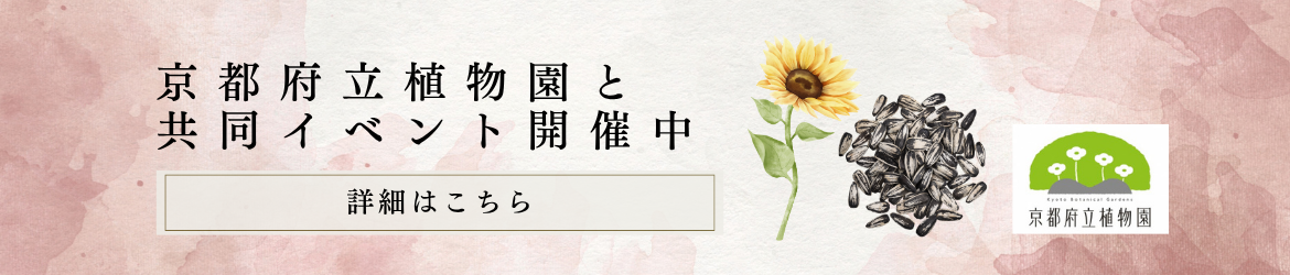 2026年9月23日　植物園バナーひまわり