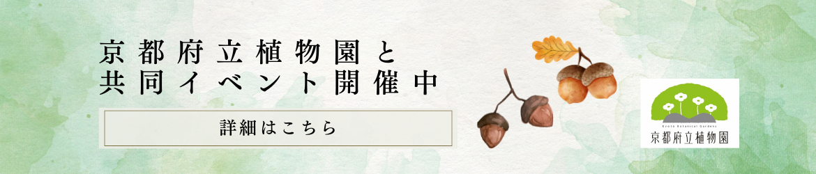 植物園バナー (1170 x 250 px)